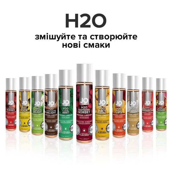 Змазка на водній основі System JO H2O &mdash; Raspberry Sorbet (30 мл) SO1468 фото