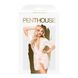 Комплект пеньюар, трусики з доступом та бралет Penthouse - Hypnotic Power White XL SO5272 фото 3