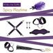 Подарунковий набір для BDSM RIANNE S — Kinky Me Softly Purple SO3865 фото 2