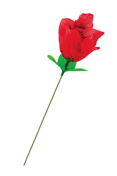 Мереживні трусики у вигляді троянди Fun Novelties Rose You Red SX4880 фото