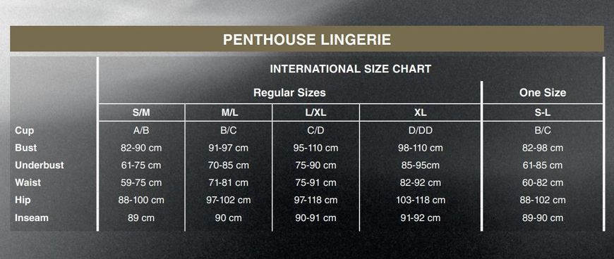 Комплект з прозорим пеньюаром та мініатюрними стрінгами Penthouse - Midnight Mirage Rose XL SO5281 фото