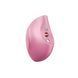 Вакуумний стимулятор Fun Factory Delicia Rose SX3305 фото 1
