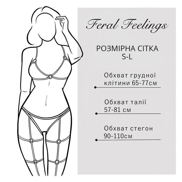 Гартери Feral Feelings - Belt Briefs, трусики, натуральна шкіра, колір чорний SO3445 фото