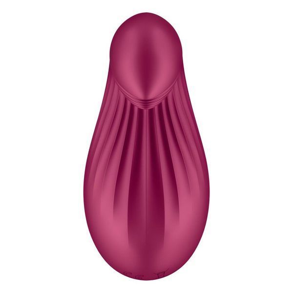 Вібратор Satisfyer Dipping Delight Berry SO6990 фото