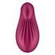 Вібратор Satisfyer Dipping Delight Berry SO6990 фото 5