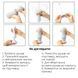 Мастурбатор Tenga Flex Silky White SO1645 фото 6