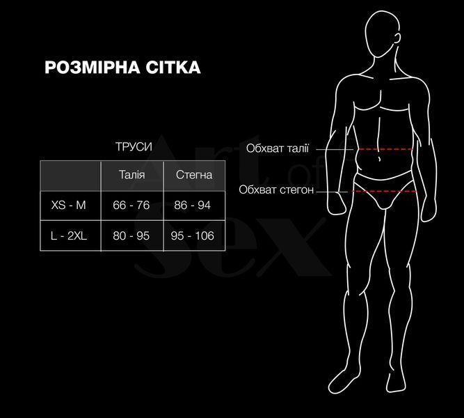 Чоловічі труси з сітки Art of Sex &mdash; Demir, колір чорний, розмір L&ndash;2XL SX3877 фото